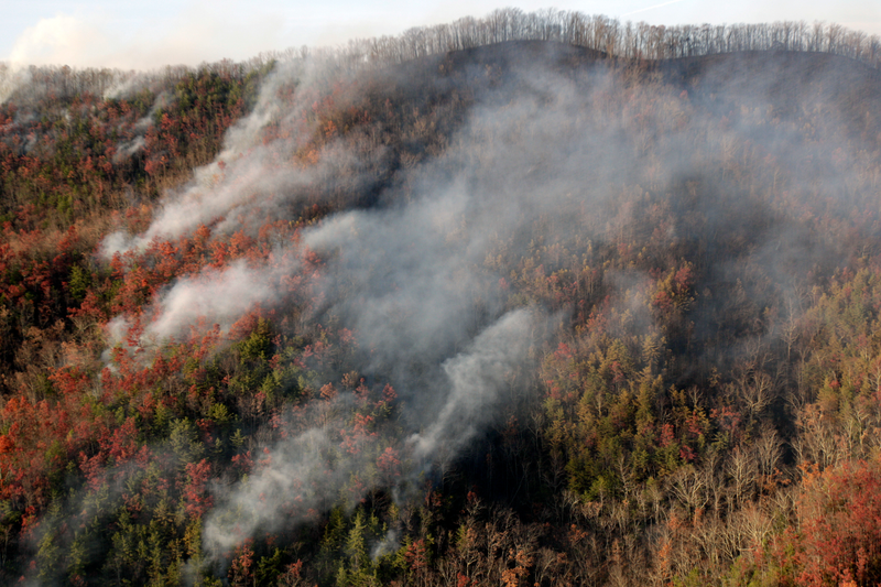 The fires spread when embers blew in from the nearby Smoky Mountains. Winds were as high as 90 mph on Monday. (Image: AP)